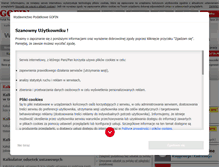 Tablet Screenshot of kalkulatorypodatkowe.pl